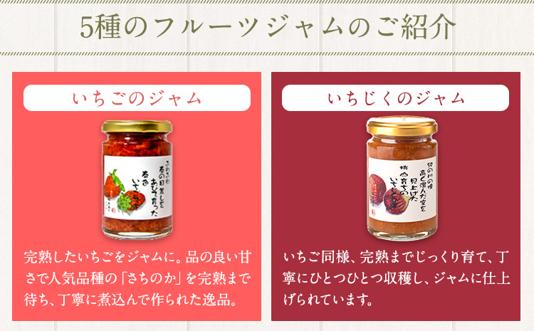 フルーツジャム3個とセミドライフルーツ3個のセット丸駒農園ゆらり《90日以内に出荷予定(土日祝除く)》---wsk_yrr2_90d_24_13000_6p---
