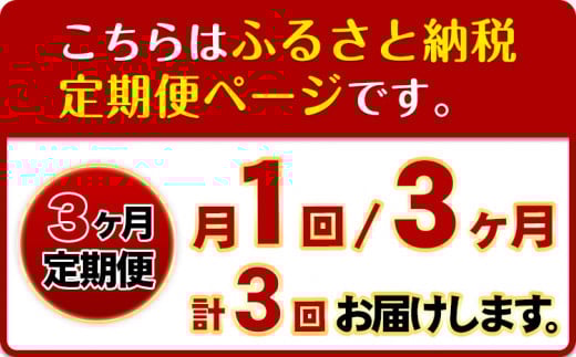 【3ヶ月定期便】の恵み旬のフルーツ＆野菜セット計8~10品《お申込み翌月出荷から開始》フルーツ果物野菜セット桃梅みかん---wfn_cwlocaltei_25_38000_mo3num1---｜フルーツ