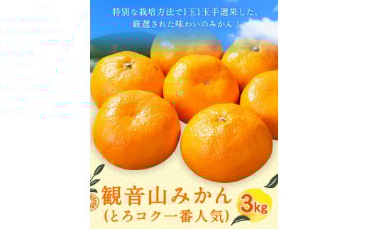 観音山みかん(とろコク一番人気)3kg有限会社柑香園《11月中旬-1月下旬頃出荷》フルーツ果物柑橘みかん---wsk_kcetkn_k111_22_18000_3kg---