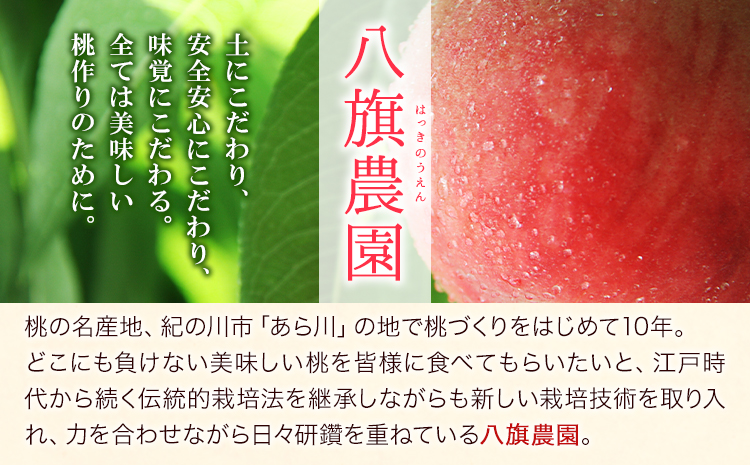 あら川の桃ジュース「桃とろり」6本入り八旗農園《30日以内に出荷予定(土日祝除く)》和歌山県紀---wsk_chkmmjuice_30d_22_14000_6i---