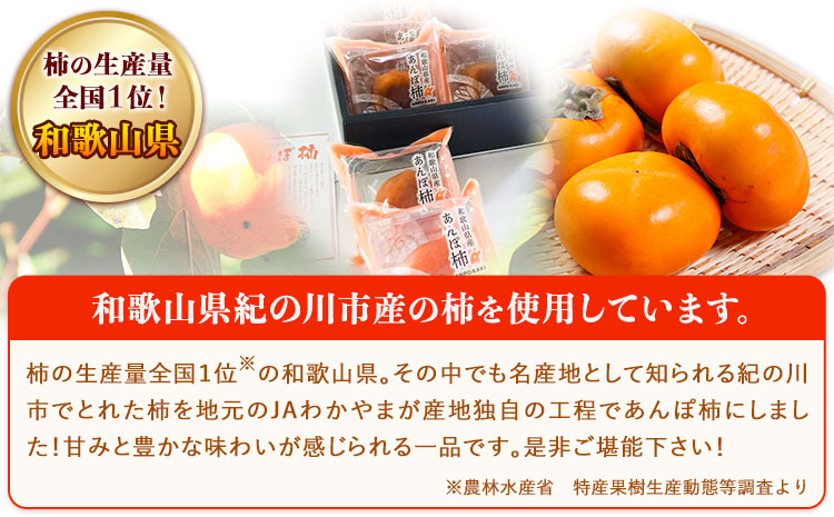 和歌山県産 あんぽ柿大10個セットJAわかやま 紀の里地域本部《90日以内に出荷予定(土日祝除く)》柿果物フルーツ---wsk_jakanpo_90d_22_12000_10c---