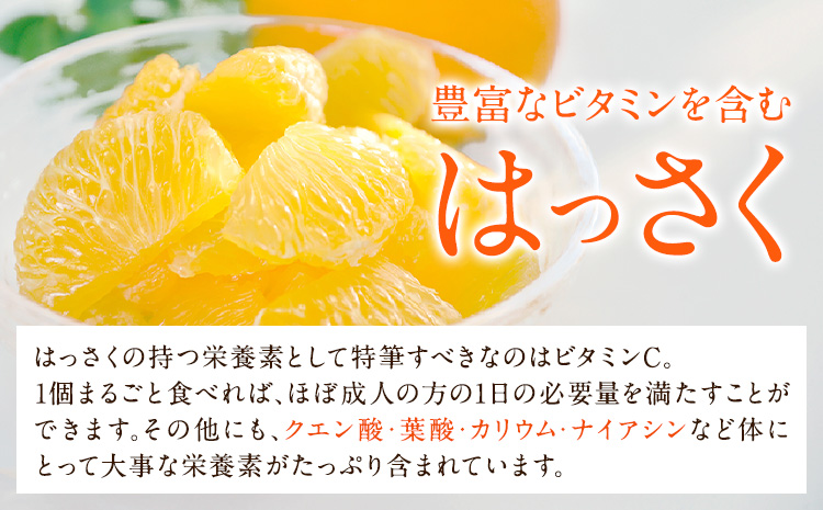 和歌山産 手剥き八朔缶詰 (450g×8缶入り) はっさく 柑橘《30日以内に出荷予定(土日祝除く)》 紀の川市厳選館 和歌山県 紀の川市 フルーツ 果物 缶詰---wsk_gsk45_90d_23_17000_8k---