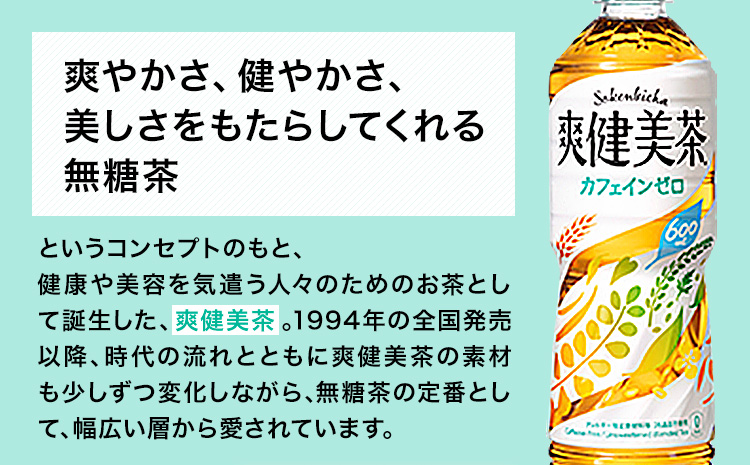 ★3ヶ月定期便★ 爽健美茶 600ml×24本 コカ・コーラボトラーズジャパン（株）《お申込み月翌月から出荷開始》和歌山県 紀の川市 お茶 茶 ハトムギ 玄米 月見草---wsk_coctei6_25_43500_mo3num1---