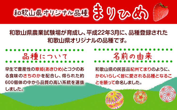 いちごまりひめ約500g(250g×2パック)お試しパック苺イチゴJAわかやま 紀の里地域本部《2月中旬-3月末頃出荷》青果物果物くだものフルーツ---wsk_cjak25_2c3m_24_8000_500g---st-p