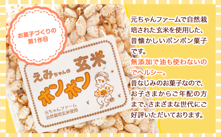玄米ポンポン元ちゃんファーム《90日以内に出荷予定(土日祝除く)》玄米菓子---wsk_gncgmpp_90d_22_14000_300g---
