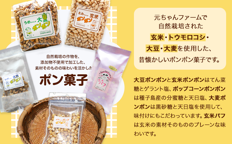 ポンポン菓子詰合せ元ちゃんファーム《90日以内に出荷予定(土日祝除く)》玄米大豆大麦トウモロコシ---wsk_gncppset_90d_22_14000_510g---