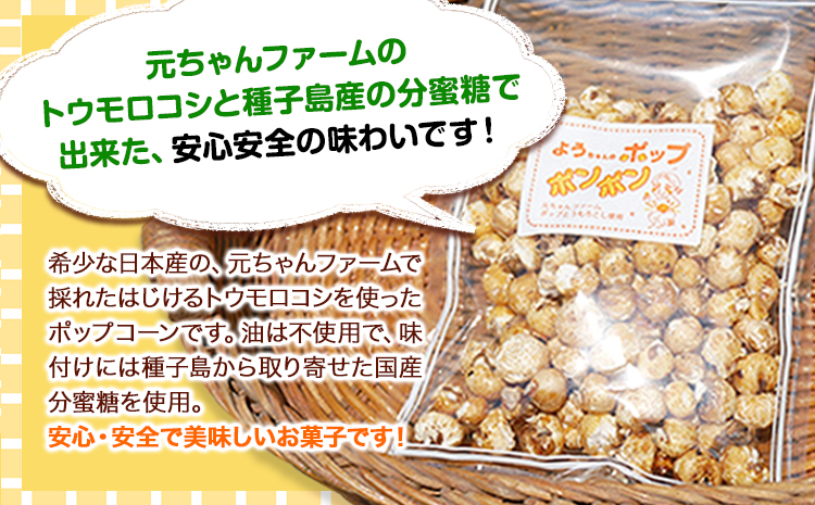 ポップコーンポンポン元ちゃんファーム《30日以内に出荷予定(土日祝除く)》トウモロコシ菓子ポップコーン---wsk_gncpcpp_30d_22_14000_300g---