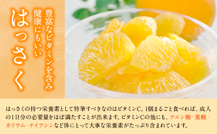 手剥き八朔缶詰(ミックス)450g×8本入JAわかやま 紀の里地域本部《90日以内に出荷予定(土日祝除く)》---wsk_jak3_30d_24_14000_8h---