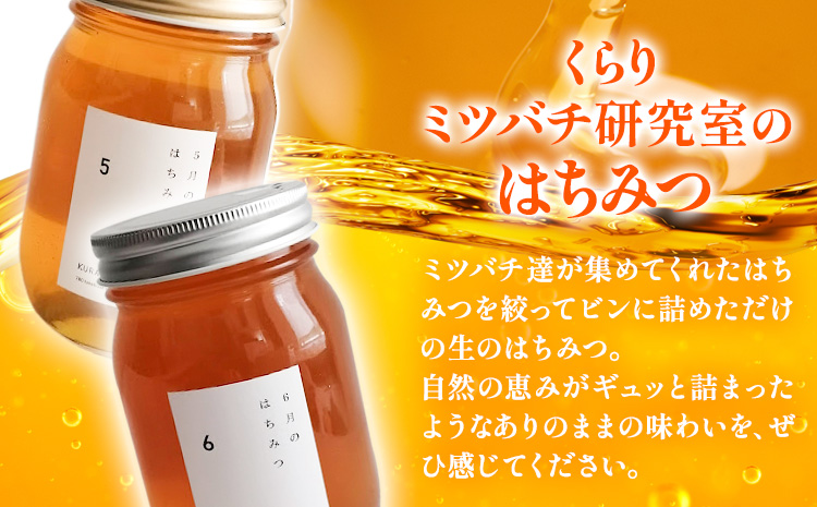 6月のはちみつ540gKURARIくらりミツバチ研究室《90日以内に出荷予定(土日祝除く)》蜂蜜ハチミツ非加熱純正生ヨーグルト---wsk_krr2_90d_24_11000_1d---
