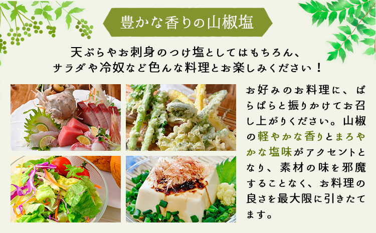 山椒塩1袋20g株式会社しおん《90日以内に出荷予定(土日祝除く)》---wsk_son3_30d_24_8000_20g---