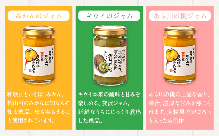 フルーツジャム3個とセミドライフルーツ3個のセット丸駒農園ゆらり《90日以内に出荷予定(土日祝除く)》---wsk_yrr2_90d_24_13000_6p---
