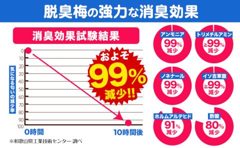 ペットの脱臭トイレ砂脱臭梅6L3L約2kgの2個セットセンターバレイ《60日以内に出荷予定(土日祝除く)》安心素材脱臭梅梅SDGs強力消臭---wsk_sbr1_60d_23_11000_4kg---st-p