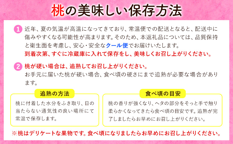 桃 もも【2026年先行予約】和歌山県産 紀の里の桃 約1kg (3-5玉入り)《6月中旬-8月中旬頃出荷》 桃 2026年 先行 桃 先行予約2026 もも2026 白鳳 日川白鳳 八旗白鳳 清水白桃 川中島白桃 つきあかり もも 白鳳 先行予約 もも川中島 もも2026 もも 白鳳 先行予約 もも 先行予約 もも 和歌山 もも---wfn_cwlocal70_6c8c_25_8000_1kg---