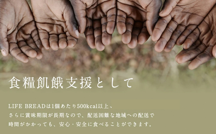 LIFEBREAD 10本 110g サクセム株式会社《30日以内に出荷予定(土日祝除く)》和歌山県 紀の川市 防災備蓄 賞味期限5年以上 ライフブレッド ブレッド---wsk_sks2_30d_24_24000_10---