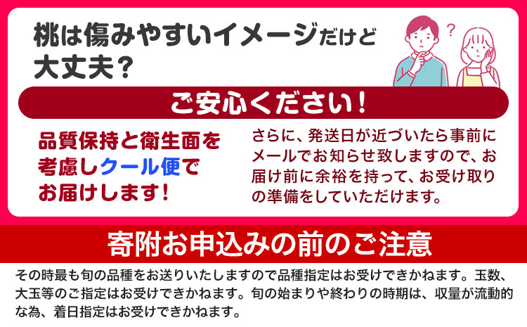 【先行予約】和歌山県産紀の里の桃 約2kg《2026年6月中旬-8月中旬頃出荷》紀の里の桃6～8玉入り桃 もも モモ フルーツ 果物 白鳳 清水白桃 川中島白桃 和歌山県産の桃 紀の川市の桃 和歌山の桃---wfn_cwlocal127_6c8c_25_13000_2kg---