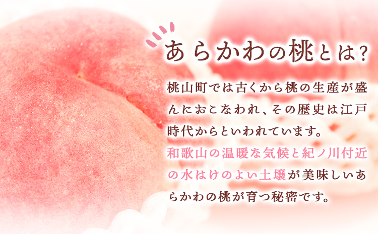 あらかわの桃ジャム3本セット株式会社藤桃庵《90日以内に出荷予定(土日祝除く)》---wsk_ttajam_90d_22_11000_3p---