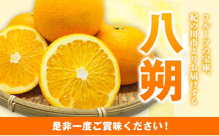 【先行予約】八朔ネット入約15kg3L-Lサイズ JAわかやま 紀の里地域本部 《2026年1月上旬-3月末頃出荷》果物フルーツ柑橘はっさく---wsk_jak20_1j3m_24_22000_15kg---