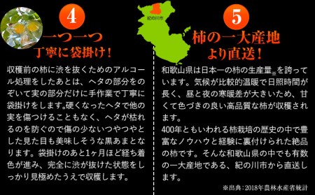 【先行予約】黒あま種なし約3.6kg（11～15玉前後）4L～2Lサイズ《2025年10月中旬-11月末頃出荷》---wfn_wlocal82_10c11m_25_15000_36---