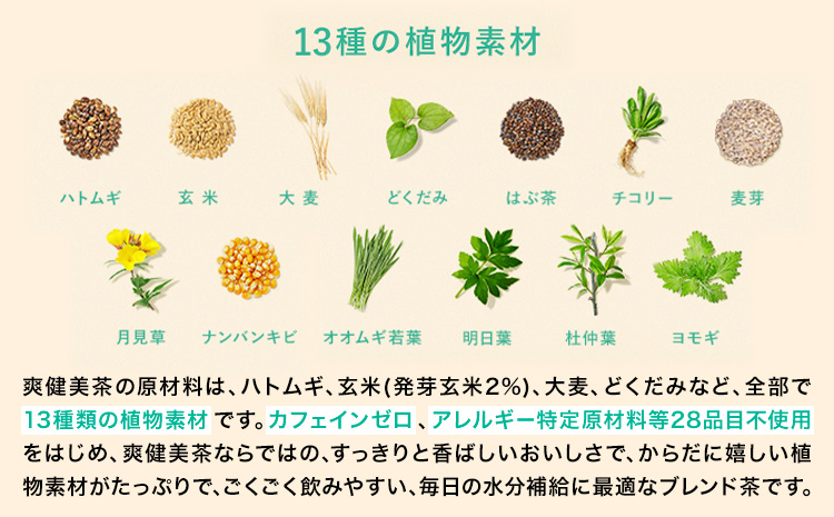 ★6ヶ月定期便★ 爽健美茶 600ml×24本 コカ・コーラボトラーズジャパン（株）《お申込み月翌月から出荷開始》和歌山県 紀の川市 お茶 茶 ハトムギ 玄米 月見草---wsk_coctei5_25_86500_mo6num1---