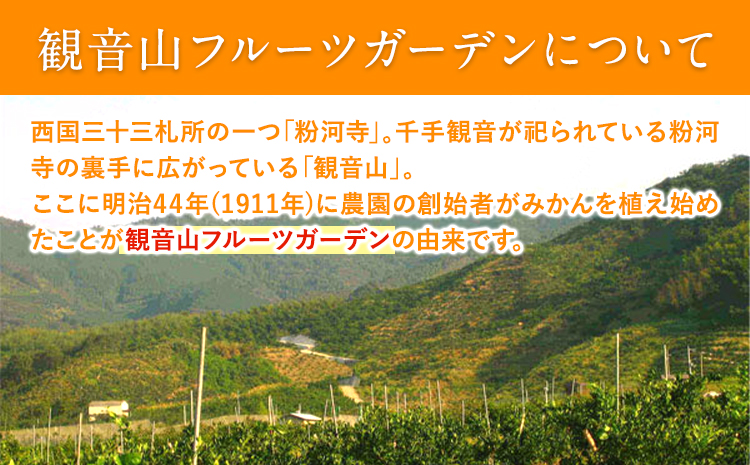 観音山みかんジュース「とろコク搾り」180ml×各5本とみかん農園サイダーのセット200ml×各5本 (計10本入) 有限会社柑香園《30日以内に出荷予定(土日祝除く)》和歌山県 紀の川市 フルーツ 果物 柑橘 添加物不使用 みかんジュース 炭酸 サイダー---wsk_kke4_30d_23_19000_10h---