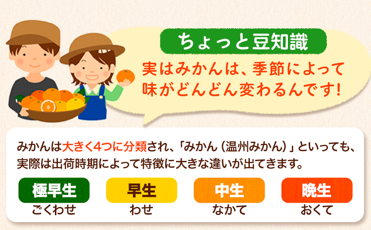 【訳あり/サイズ不選別】和歌山みかん約10kg和歌山県産《11月中旬から1月中旬に出荷予定(土日祝除く)》---wfn_wlocal90_11c1c_25_10000_10kg---｜たっぷりご家庭用みかん