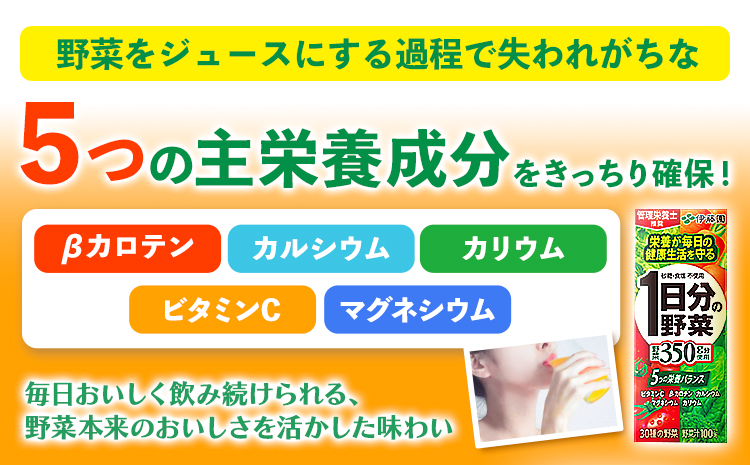 産紙パック飲料1日分の野菜200ml×24本1ケース株式会社伊藤園《30日以内に出荷予定(土日祝除く)》1日分の野菜---wsk_ite7_30d_24_12000_24p---