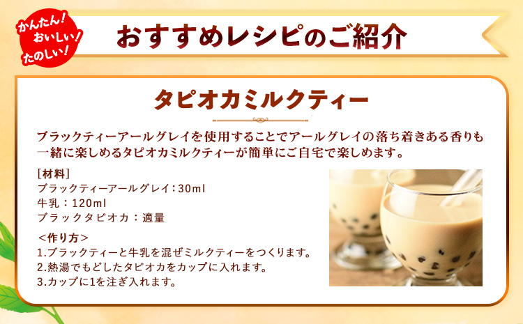 希釈紅茶飲料GSブラックティーアールグレイ500ml×12本《90日以内に出荷予定(土日祝除く)》飲料紅茶5倍希釈株式会社---wsk_gsbteaearl_90d_22_23000_12p---