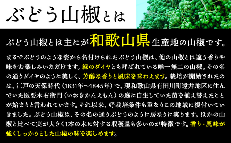ぶどう山椒の佃煮1袋100g株式会社しおん《90日以内に出荷予定(土日祝除く)》---wsk_cson5_30d_24_10000_100g---