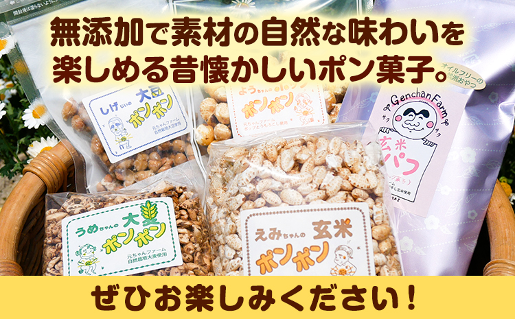 ポンポン菓子詰合せ元ちゃんファーム《90日以内に出荷予定(土日祝除く)》玄米大豆大麦トウモロコシ---wsk_gncppset_90d_22_14000_510g---