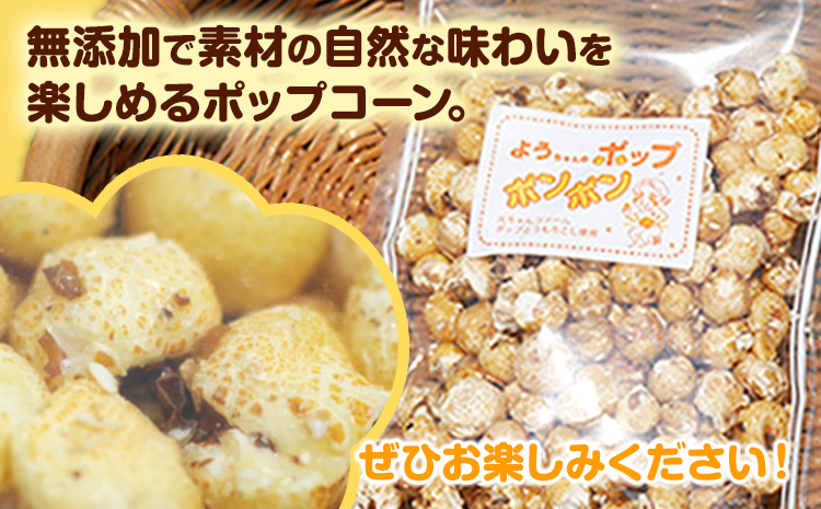 ポップコーンポンポン元ちゃんファーム《30日以内に出荷予定(土日祝除く)》トウモロコシ菓子ポップコーン---wsk_gncpcpp_30d_22_14000_300g---