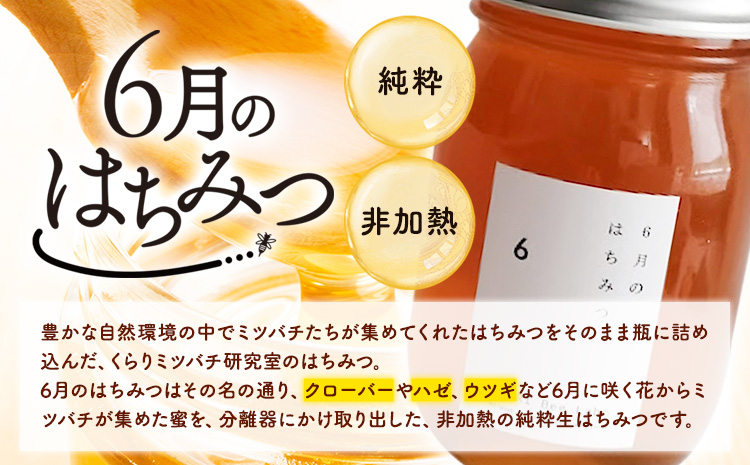 6月のはちみつ540gKURARIくらりミツバチ研究室《90日以内に出荷予定(土日祝除く)》蜂蜜ハチミツ非加熱純正生ヨーグルト---wsk_krr2_90d_24_11000_1d---