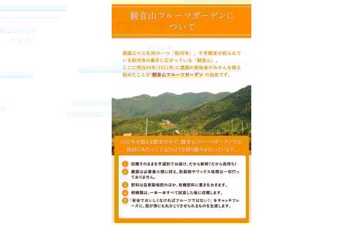 観音山みかん(とろコク一番人気)4kg有限会社柑香園《11月中旬-1月下旬頃出荷》フルーツ果物柑橘みかん---wsk_kcetkn_k111_22_21000_4kg---