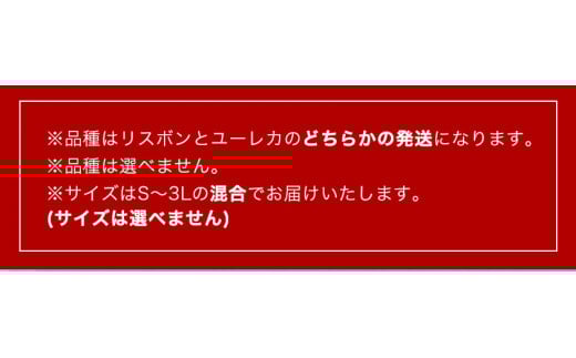 先行予約産レモン約1kgサイズ混合前商店《2023年1月上旬-3月末頃出荷》産地直送レモン檸檬---wsk_ucsblm_ac13_22_7000_1kg---st-p