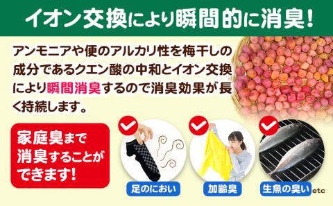 ペットの脱臭トイレ砂脱臭梅6L3L約2kgの2個セットセンターバレイ《60日以内に出荷予定(土日祝除く)》安心素材脱臭梅梅SDGs強力消臭---wsk_sbr1_60d_23_11000_4kg---st-p