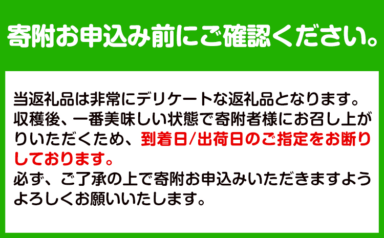 【先行予約】八朔ネット入約15kg3L-Lサイズ JAわかやま 紀の里地域本部 《2026年1月上旬-3月末頃出荷》果物フルーツ柑橘はっさく---wsk_jak20_1j3m_24_22000_15kg---