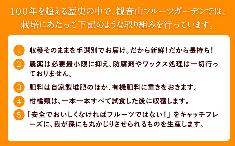 観音山ドライフルーツ（桃）30g×1個 有限会社柑香園《30日以内に出荷予定(土日祝除く)》フルーツ果物桃ももドライフルーツ---wsk_kcedrym_30d_22_6000_30g---