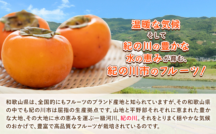 和歌山県産 あんぽ柿 70g×8個セット 紀の川市厳選館《90日以内に出荷予定(土日祝除く)》和歌山県 紀の川市 種なし柿 干し柿 ドライフルーツ カキ かき ジューシー フルーツ 和菓子---wsk_gsk44_30d_23_12000_8k---