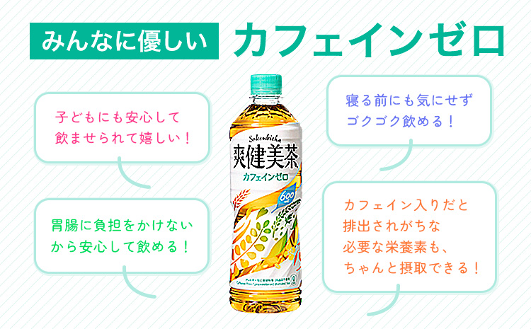 ★3ヶ月定期便★ 爽健美茶 600ml×24本 コカ・コーラボトラーズジャパン（株）《お申込み月翌月から出荷開始》和歌山県 紀の川市 お茶 茶 ハトムギ 玄米 月見草---wsk_coctei6_25_43500_mo3num1---