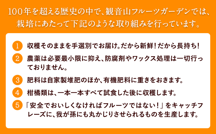 観音山みかんジュース「とろコク搾り」180ml×各5本とみかん農園サイダーのセット200ml×各5本 (計10本入) 有限会社柑香園《30日以内に出荷予定(土日祝除く)》和歌山県 紀の川市 フルーツ 果物 柑橘 添加物不使用 みかんジュース 炭酸 サイダー---wsk_kke4_30d_23_19000_10h---
