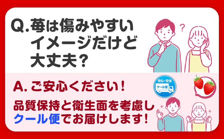 いちごまりひめ約500g(250g×2パック)お試しパック苺イチゴJAわかやま 紀の里地域本部《2月中旬-3月末頃出荷》青果物果物くだものフルーツ---wsk_cjak25_2c3m_24_8000_500g---st-p