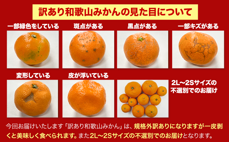 【訳あり/サイズ不選別】和歌山みかん約10kg和歌山県産《11月中旬から1月中旬に出荷予定(土日祝除く)》---wfn_wlocal90_11c1c_25_10000_10kg---｜たっぷりご家庭用みかん
