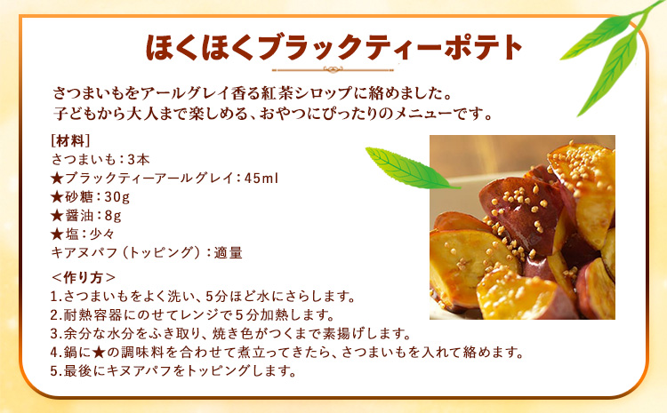 希釈紅茶飲料GSブラックティーアールグレイ500ml×12本《90日以内に出荷予定(土日祝除く)》飲料紅茶5倍希釈株式会社---wsk_gsbteaearl_90d_22_23000_12p---