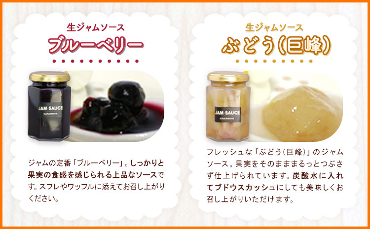 ジャムソース５種セット(プレザーブスタイル) JAわかやま 紀の里地域本部 《90日以内に出荷予定(土日祝除く)》---wsk_jakjam_90d_22_13000_5c---