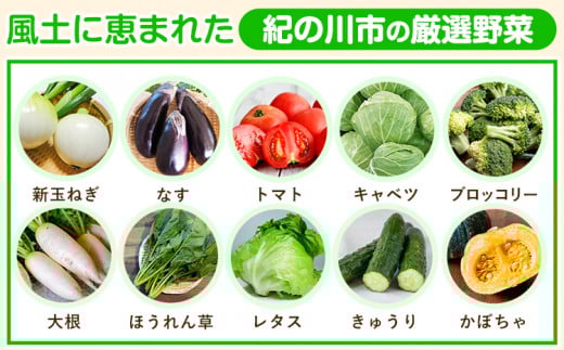 【3ヶ月定期便】の恵み旬のフルーツ＆野菜セット計8~10品《お申込み翌月出荷から開始》フルーツ果物野菜セット桃梅みかん---wfn_cwlocaltei_25_38000_mo3num1---｜フルーツ