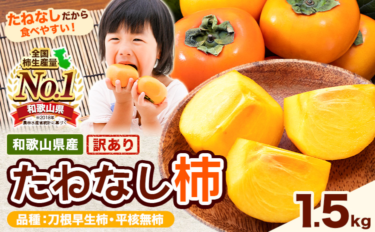 【ご家庭用/訳あり】たねなし柿 約1.5kg《2026年9月中旬-11月上旬頃より出荷予定》 和歌山県 紀の川市 柿 カキ かき ジューシー フルーツ---wfn_wlocal62_9c11j_25_4500_1500g---
