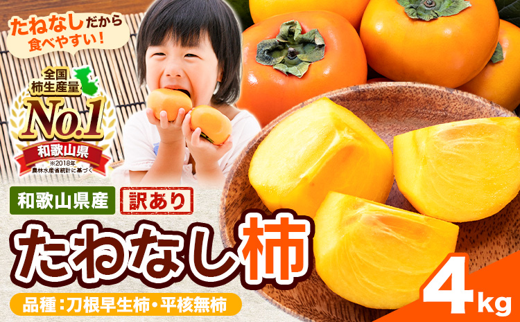 【ご家庭用/訳あり】たねなし柿 約4kg《2026年9月中旬-11月上旬頃より出荷予定》 和歌山県 紀の川市 柿 カキ かき ジューシー フルーツ---wfn_wlocal63_9c11j_25_7500_4kg---