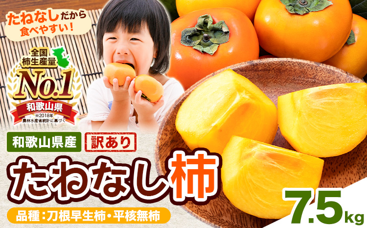 【ご家庭用/訳あり】たねなし柿 約7.5kg《2026年9月中旬-11月上旬頃より出荷予定》 和歌山県 紀の川市 柿 カキ かき ジューシー フルーツ---wfn_wlocal64_9c11j_25_10000_64---