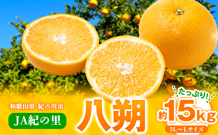 【先行予約】八朔ネット入約15kg3L-Lサイズ JAわかやま 紀の里地域本部 《2026年1月上旬-3月末頃出荷》果物フルーツ柑橘はっさく---wsk_jak20_1j3m_24_22000_15kg---