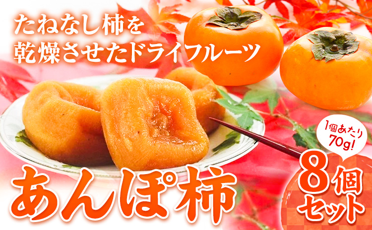 和歌山県産 あんぽ柿 70g×8個セット 紀の川市厳選館《90日以内に出荷予定(土日祝除く)》和歌山県 紀の川市 種なし柿 干し柿 ドライフルーツ カキ かき ジューシー フルーツ 和菓子---wsk_gsk44_30d_23_12000_8k---