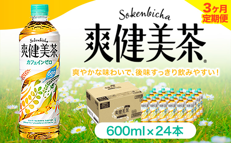 ★3ヶ月定期便★ 爽健美茶 600ml×24本 コカ・コーラボトラーズジャパン（株）《お申込み月翌月から出荷開始》和歌山県 紀の川市 お茶 茶 ハトムギ 玄米 月見草---wsk_coctei6_25_43500_mo3num1---